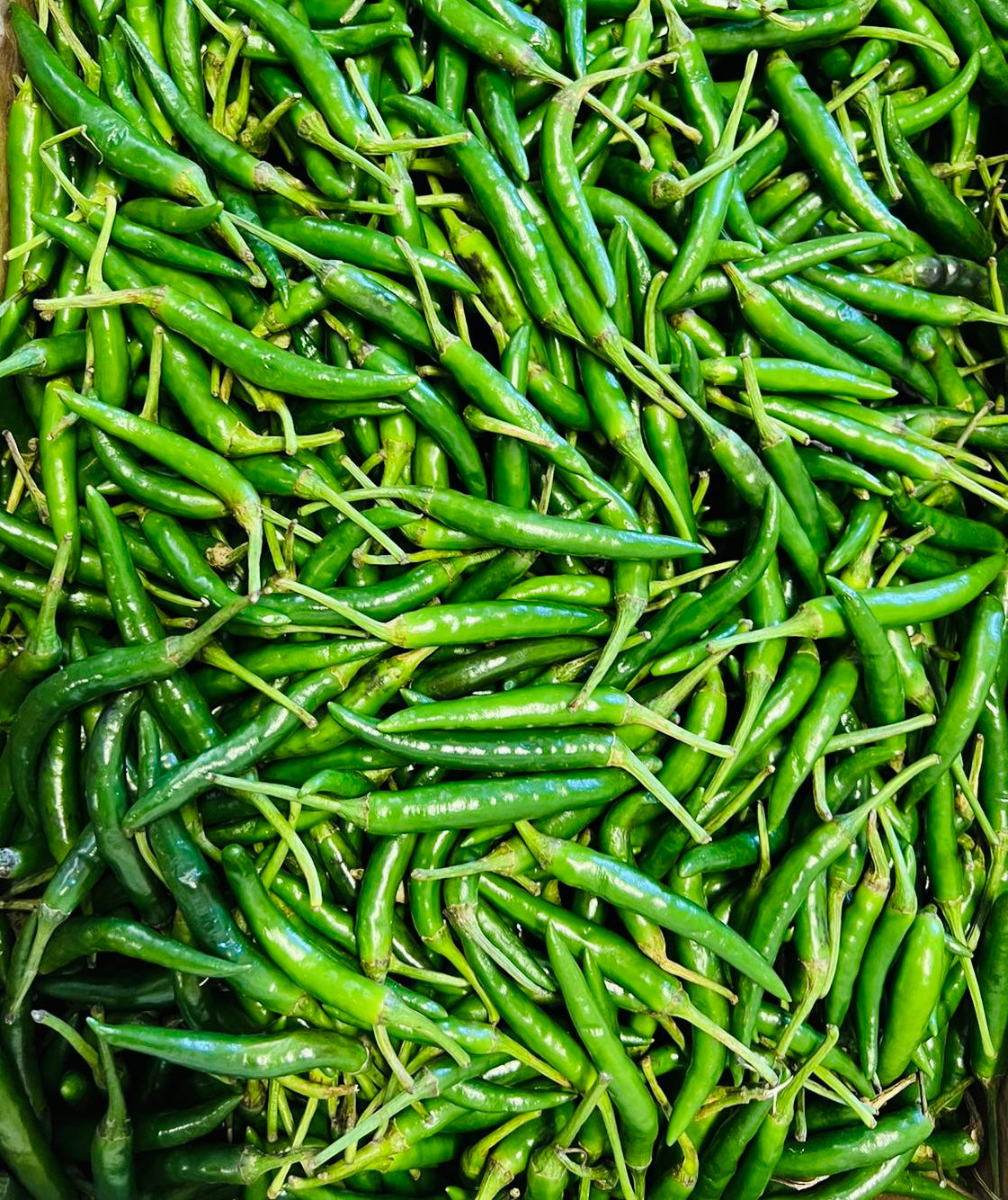 Green Chili / Ớt Xanh 250g