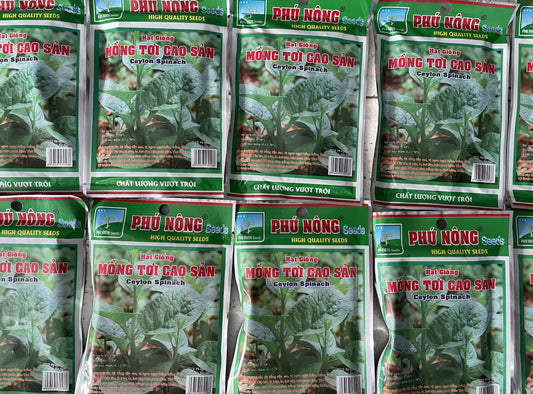Ceylon Spinach Seeds / Hat Giong Mong Toi