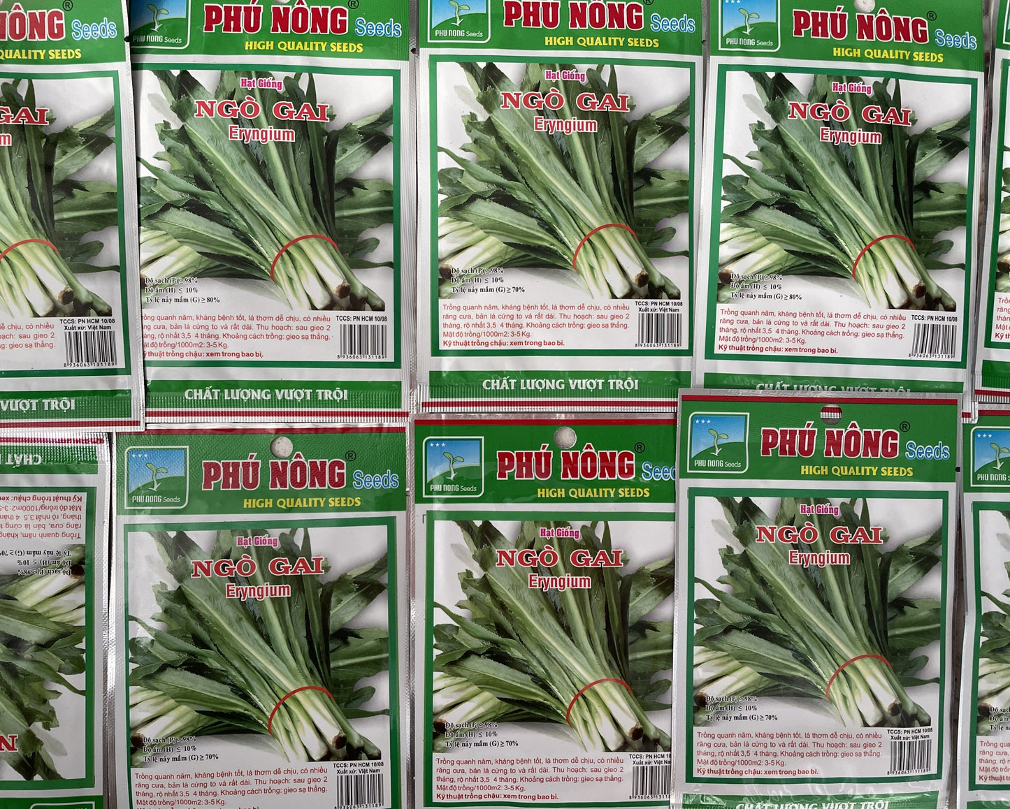 Parsley Seeds / Hat Giong Ngo Gai