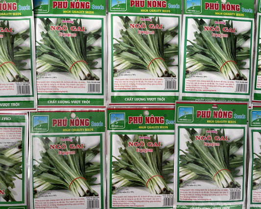Parsley Seeds / Hat Giong Ngo Gai