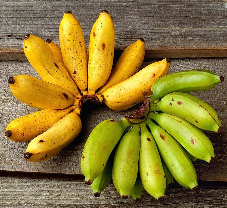 Apple Banana / Chuối Bom 900g-1000g