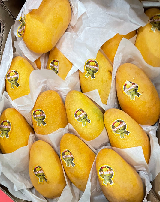 S1 -  Yellow Mango / Xoai Vang Ngot Thom 8 Pieces 1.9 Kg- 2Kg