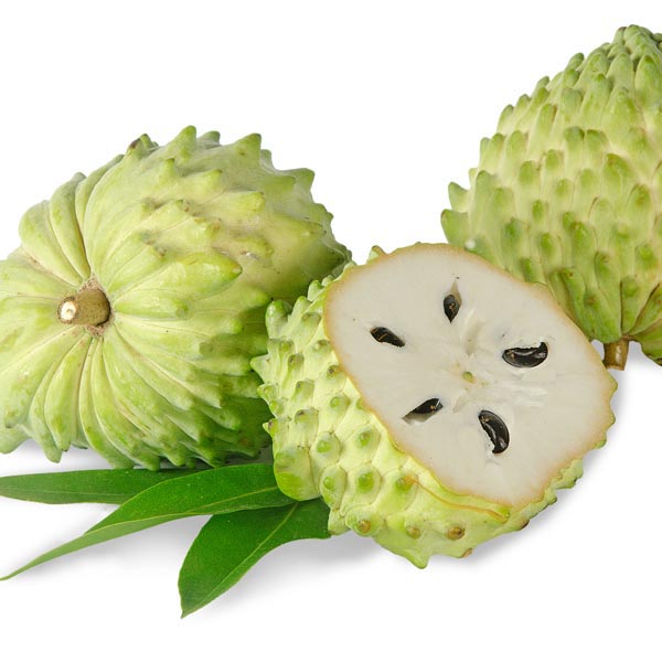 Anona 950 -1050g / Mang Cau Dai