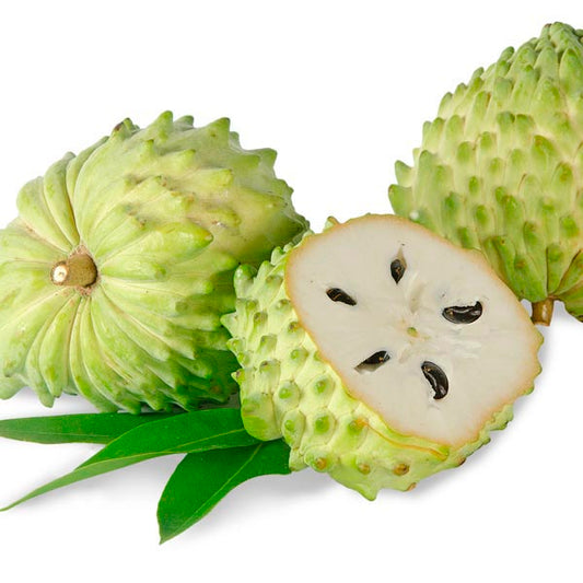 Anona 950 -1050g / Mang Cau Dai