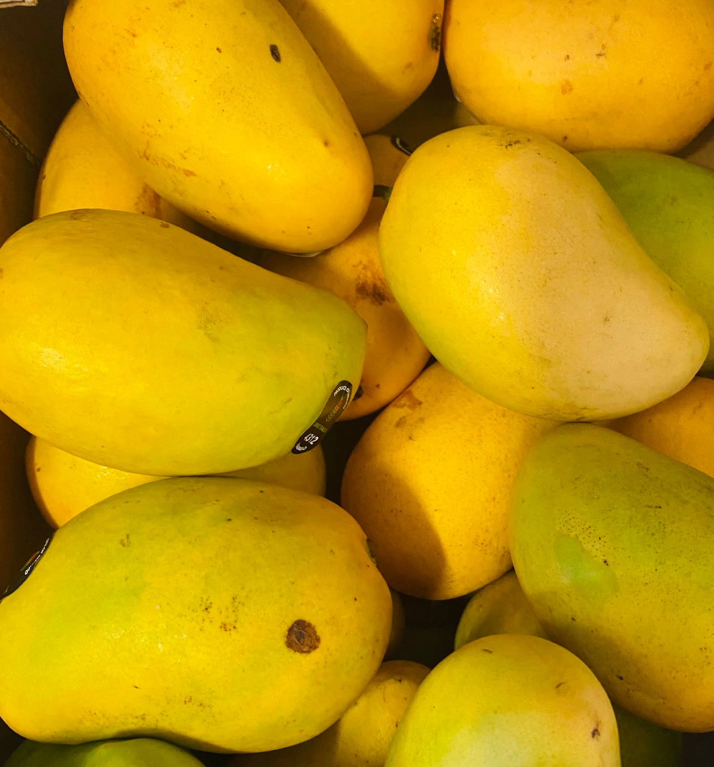 Yellow Mango / Xoai Vang Ngot Thom 0.9kg-1.1kg