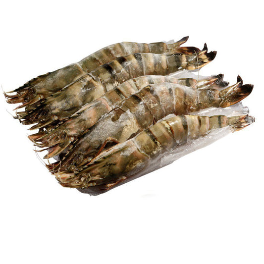 L1 - EXO Head on Shell On Black Tiger 16/20 1kg (75%)