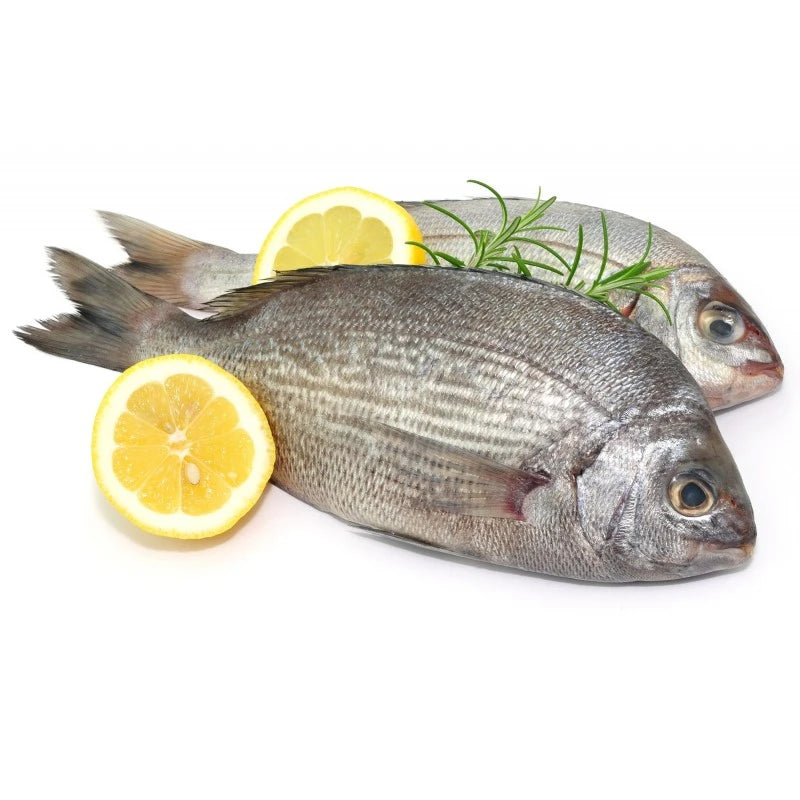 JONA Dorade Fish / Ca Trap Dora 1kg