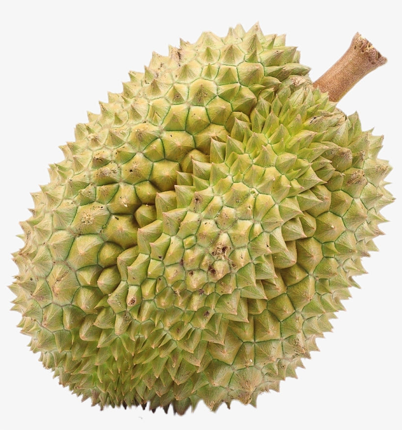 Whole Monthong Durian Big/Sầu Riêng Tươi 3.7-3.9kg