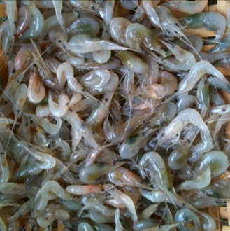 Baby Shrimp / Tep Xanh Nho 250g