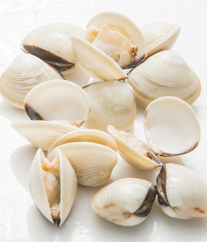M1 - Frozen White Clams 40/60 1kg
