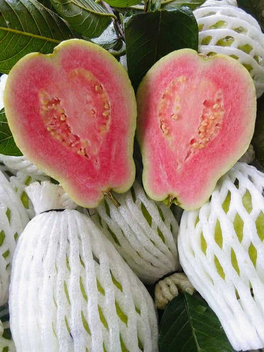 Red Guava / Ổi Ruột Đỏ Việt Nam 400g-600g