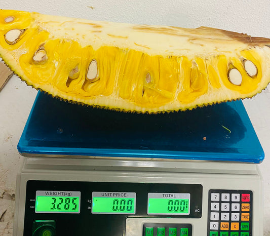 Fresh Jackfruit 1 Pieces / Mít tươi miếng 3.30 Kg (12.99/1 Kg)