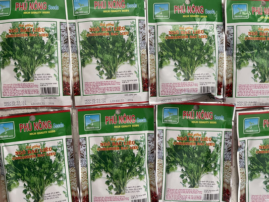 Coriander Seeds / Hat Giong Ngo Ri