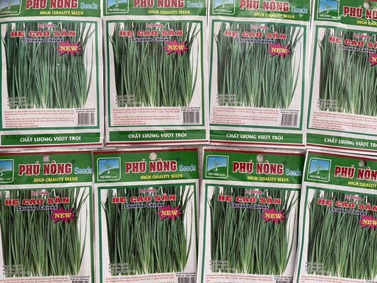 Chives Seeds / Hat Giong He La