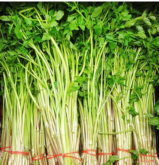 Water Celery/Cần nước 200g-300g ( khong dat nua )
