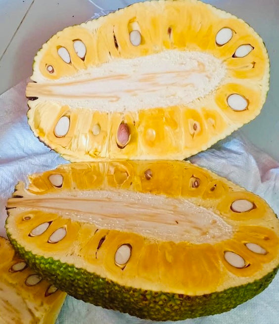 Fresh Jackfruit 1 Piece / Mit Tuoi Mieng 2.9kg-3.0 Kg