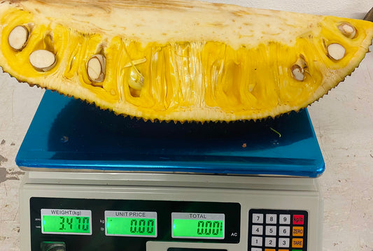 Fresh Jackfruit 1 Pieces / Mít tươi miếng 3.285 Kg (12.99/1 Kg)