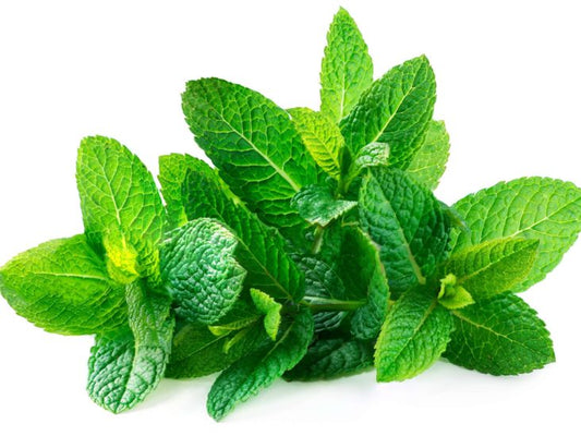 Fresh Mint / Hung Lui 200g