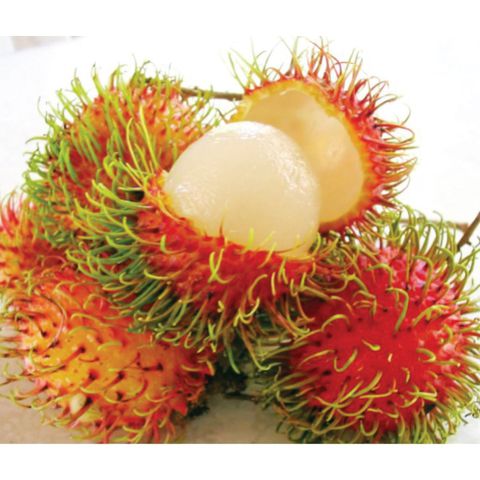Fresh Rambutan/ Chom Chom Tuoi 950g-1050g