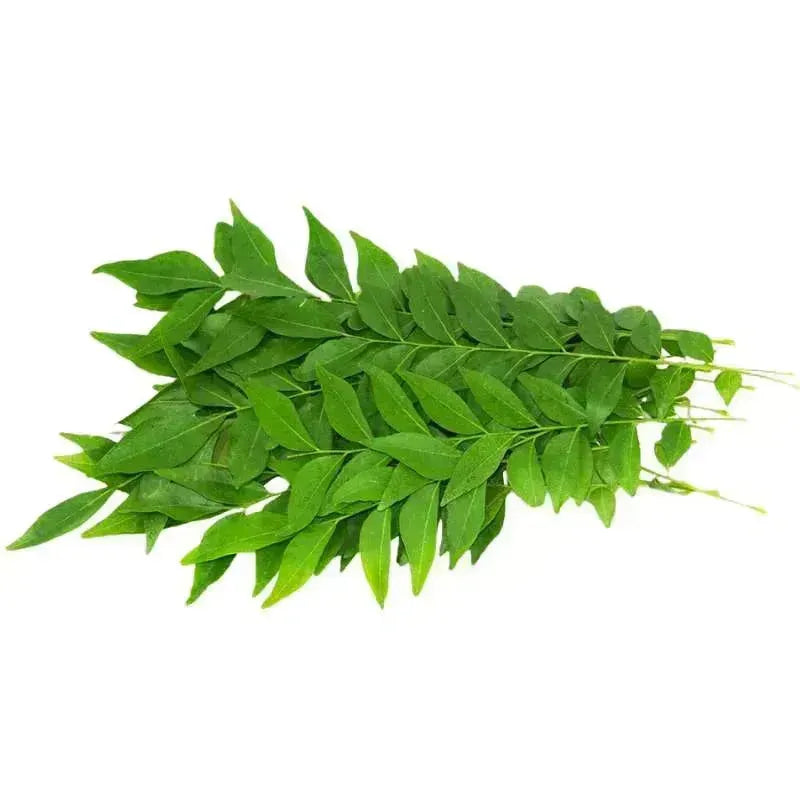 Fresh Curry Leaves, packed 40-45 grams-Global Food Hub