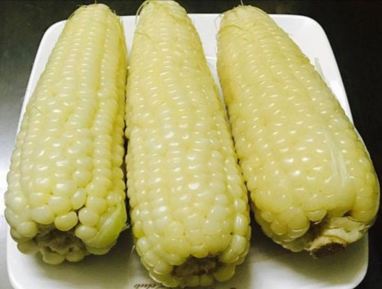 Boiled Corn / Bap Nep 1kg