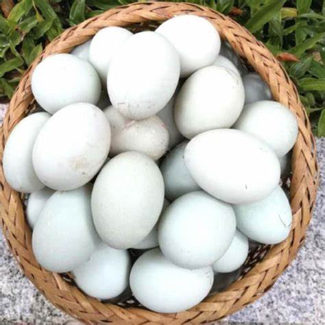 Fresh Duck Egg / Trung Vit Tuoi 10 Pieces