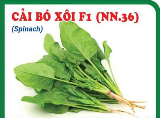 VN -  Spinach Seeds /  Hat Giong Cai Bo Xôi