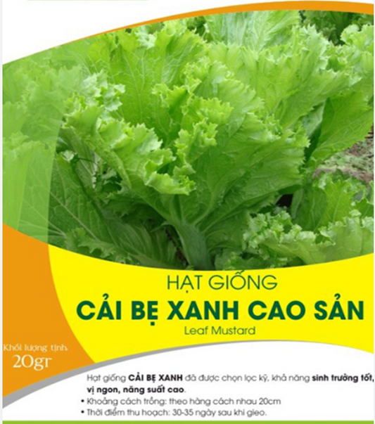 VN -  Mustard Seeds /  Hat Giong Cai Be Xanh
