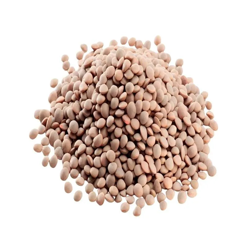 TRS Whole Brown Lentils - 1Kg-Global Food Hub