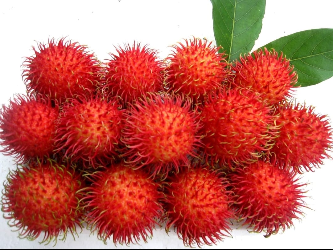 Fresh Rambutan 500g/ Chom Chom Tuoi 500g