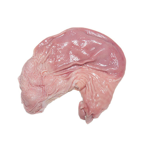 Frozen Pork Stomach/ Bao Tu Heo 800g