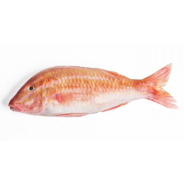 BNC - Red Mullet / Ca Phen 1kg