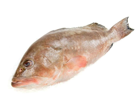 M1- Grouper/ Ca Bong Mu 750g/850g