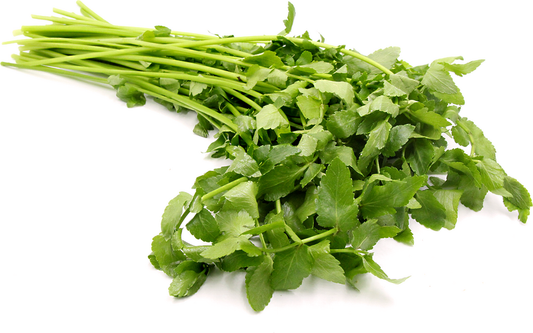 MTRS-Fresh Chinese Celery 250g / Rau Can Tay 250g