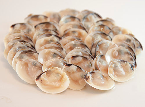 M1 - White Clam Halfshelf/ Ngheu Trang 500g