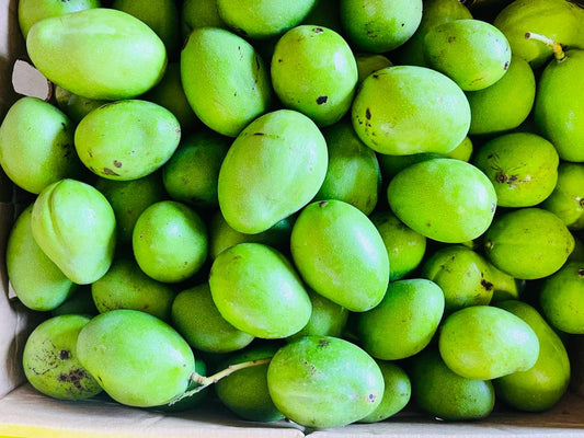 Green Mango / Xoai Xanh 900-1000g
