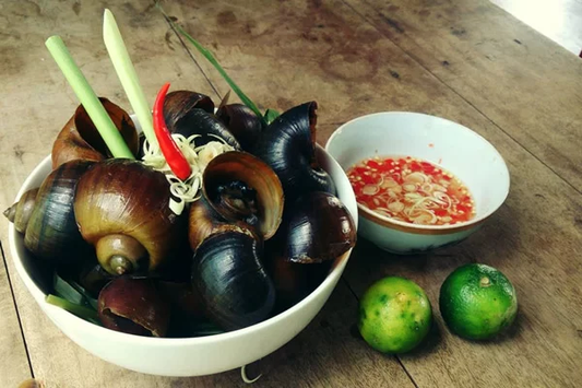 Frozen Apple Snail/ Oc Buu Nguyen Con Dong Lanh 1 Kg