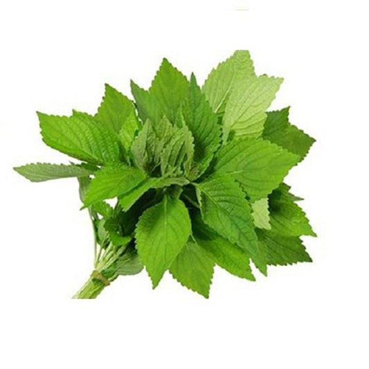 Cockscomb mint / Kinh Giới 100g