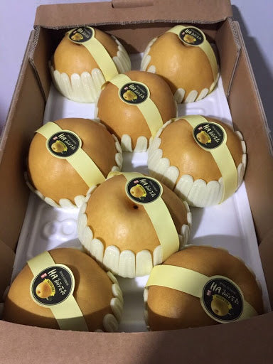 Korean Pear / Le Han Quoc 1 Trái 500-600g