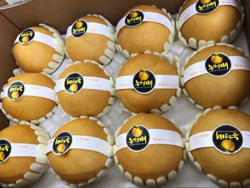 Korean Pear / Le Han Quoc 1 Trái 400-450g