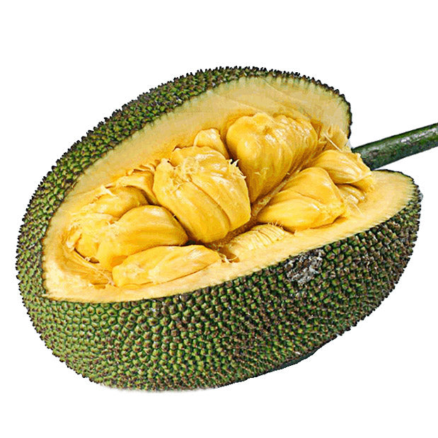 Fresh Jackfruit 1 Piece / Mit To Nu  1 qua  (0.9-1 .1Kg)