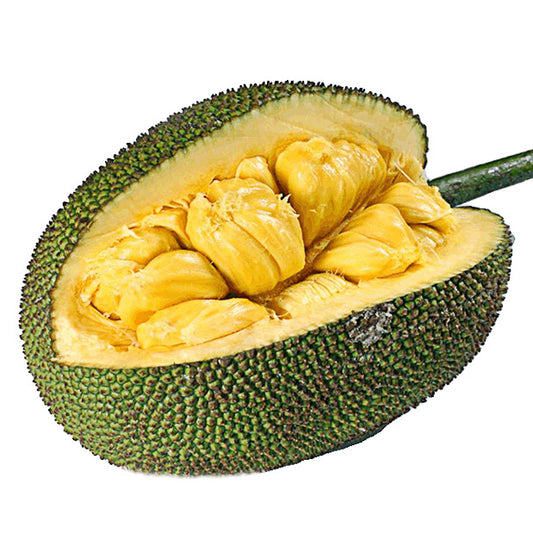 Fresh Jackfruit 1 Piece / Mit To Nu  1 qua  (0.9-1 .1Kg)
