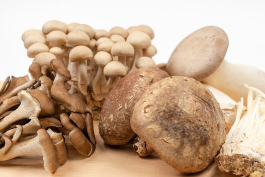 Hot Pot Mix Mushroom 400g/ Nam Thap Cam An Lau