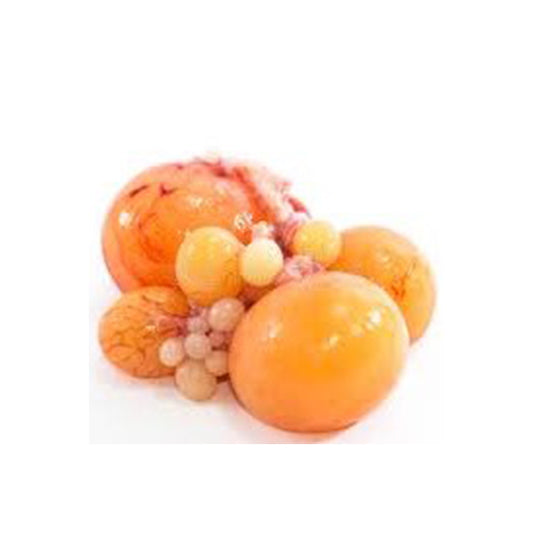 Chicken Ovaries / Trung Long Non 400gr