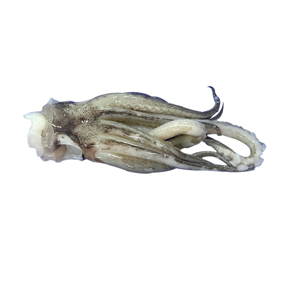 BNC - Squid Tentacles / Rau Muc 1kg