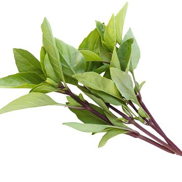 Horopa Basil / Hung Que 100g