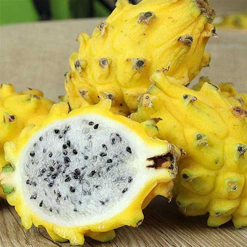 MTRS - Vietnam Yellow Dragon Fruit / Thanh Long Ruot Vàng 200g - 250g
