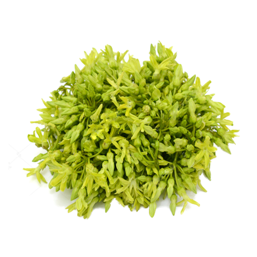 Dok Kajorn/Bông Thiên Lý 100g