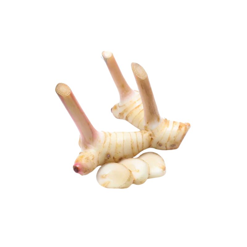 Flower Brand Củ Riềng / Frozen Galangal - 100g