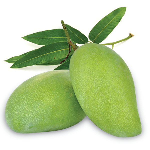 Green Mango Elefant / Xoai Tuong 900g-1000g